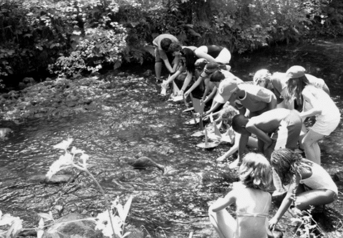 Captura de pantalla 2026-02-05 a las 9.54.47