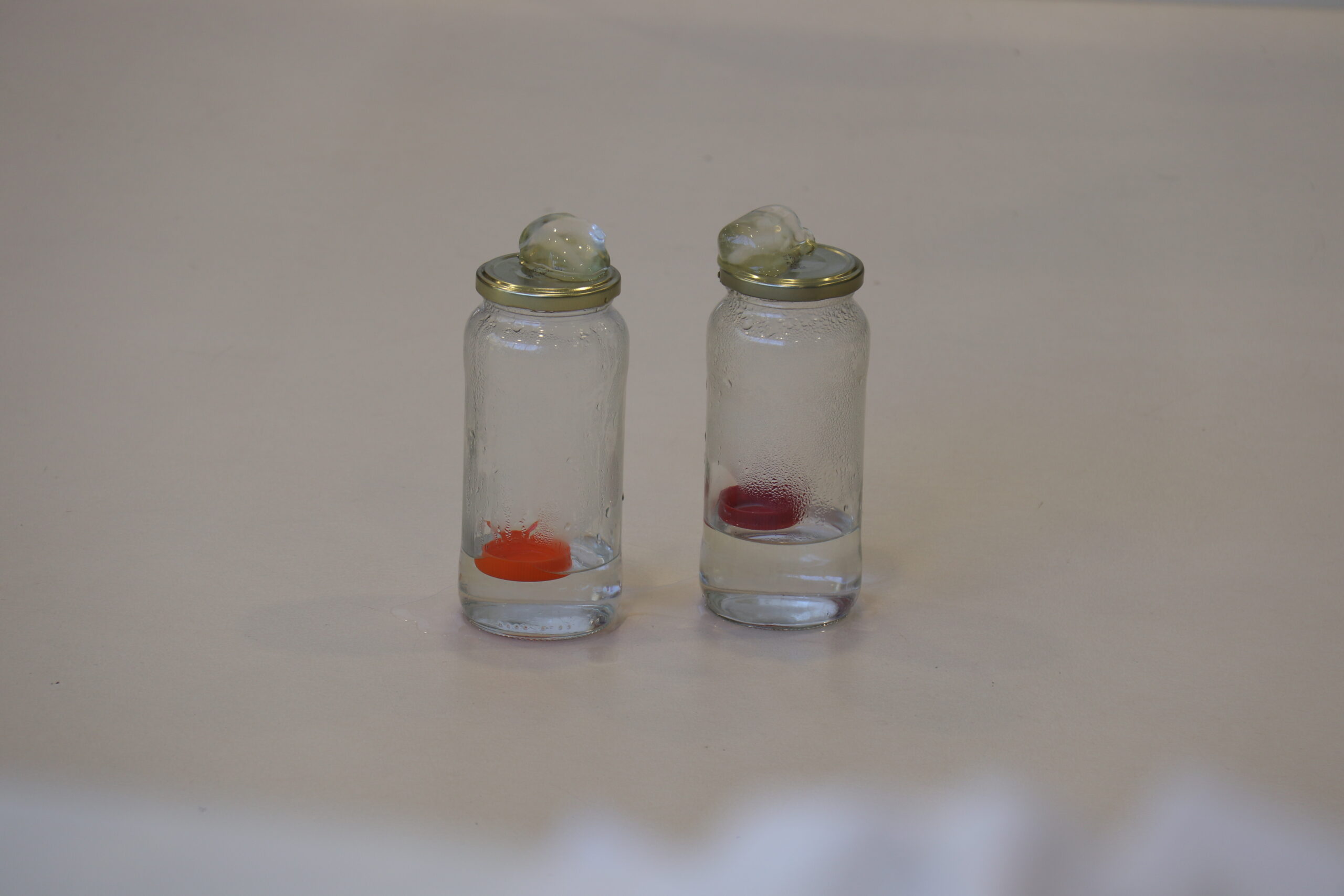 Taller científico «El ciclo del agua»